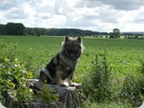 DSC06066
