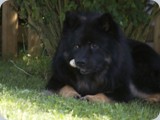DSC04639081