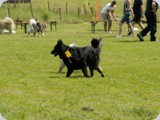 26062010_081