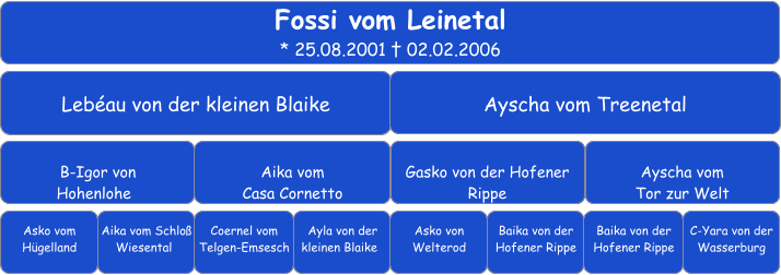 Fossi vom Leinetal * 25.08.2001 † 02.02.2006 Lebéau von der kleinen Blaike Ayscha vom Treenetal  B-Igor von  Hohenlohe	 Aika vom  Casa Cornetto Gasko von der Hofener Rippe  Ayscha vom  Tor zur Welt  Asko vom Hügelland Aika vom Schloß     Wiesental	 Coernel vom Telgen-Emsesch	 Ayla von der kleinen Blaike	 Asko von Welterod   Baika von der Hofener Rippe   Baika von der Hofener Rippe   C-Yara von der Wasserburg