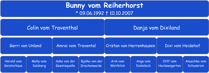 Bunny vom Reiherhorst * 09.06.1992 † 10.10.2007 Colin vom Traventhal Danja vom Dixiland    Gerri von Unland	 Amrai vom Travental	 Cristan von Herrenhausen    Dixi vom Heidehof    Herold vom Geisterhaus Molly vom Salzberg Asko von der Geestequelle Bjelka von der Drachenweide	 Arik vom Weitblick   Cliff vom Hecksengarten   Anga vom Diebsloch     Anuschka vom Schussrain