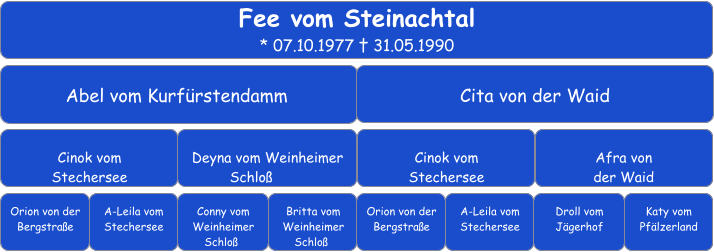 Fee vom Steinachtal * 07.10.1977 † 31.05.1990 Abel vom Kurfürstendamm	 Cita von der Waid      Cinok vom  Stechersee Deyna vom Weinheimer Schloß	 Cinok vom  Stechersee      Afra von  der Waid      Orion von der Bergstraße A-Leila vom Stechersee Conny vom Weinheimer Schloß	 Britta vom Weinheimer Schloß	 Orion von der Bergstraße     Droll vom Jägerhof   A-Leila vom Stechersee      Katy vom Pfälzerland