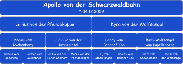 Apollo von der Schwarzwaldbahn * 04.12.2009 Sirius von der Pferdekoppel Kyra von der Wolfsangel Dream vom Rychenberg C-Shiva von der  Kräheninsel Dandy vom Bahnhof Zoo Bash-Wolfsangel vom Kapellenberg Kobold vom Bodensee Carmen vom Mühlenhof Jasko von der Hohen Steinert Manuk von der Pferdekoppel Jurij von Rothenklingen Endro vom Seewaldbach Beauty vom Bahnhof Zoo Diska von der Wolfsangel