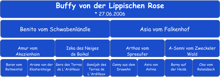 Buffy von der Lippischen Rose * 27.06.2006 Benito vom Schwabenländle Asia vom Falkenhof Amur vom  Akazienhain Iska des Neiges  de Baikal	 Arthos vom  Spreeufer A-Sonni vom Zweckeler Wald Baran vom Rotmeintal Ariane von der Klostersteige	 Gero des Terres de L'Ardilleux	 Gandjah des Terres de L'Ardilleux Canny aus dem Drawehn  Barny auf  der Heide  Asra von  Antina  Cleo vom Rolandseck