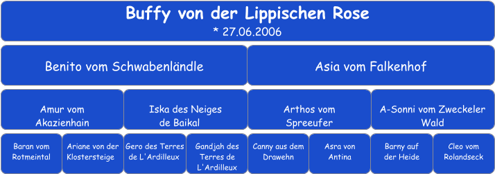 Buffy von der Lippischen Rose * 27.06.2006 Benito vom Schwabenländle Asia vom Falkenhof Amur vom  Akazienhain Iska des Neiges  de Baikal	 Arthos vom  Spreeufer A-Sonni vom Zweckeler Wald Baran vom Rotmeintal Ariane von der Klostersteige	 Gero des Terres de L'Ardilleux	 Gandjah des Terres de L'Ardilleux Canny aus dem Drawehn  Barny auf  der Heide  Asra von  Antina  Cleo vom Rolandseck