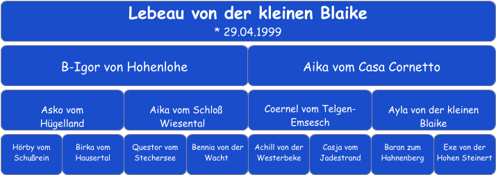 Lebeau von der kleinen Blaike * 29.04.1999 B-Igor von Hohenlohe Aika vom Casa Cornetto    Asko vom  Hügelland Aika vom Schloß  Wiesental	 Coernel vom Telgen-Emsesch    Ayla von der kleinen  Blaike    Hörby vom Schußrein Birka vom Hausertal Questor vom Stechersee Bennia von der Wacht	 Achill von der Westerbeke    Baran zum Hahnenberg   Casja vom Jadestrand     Exe von der Hohen Steinert