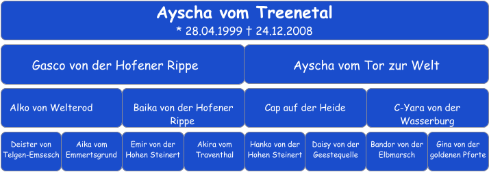 Ayscha vom Treenetal * 28.04.1999 † 24.12.2008 Gasco von der Hofener Rippe	 Ayscha vom Tor zur Welt   Alko von Welterod	 Baika von der Hofener Rippe	 Cap auf der Heide   C-Yara von der Wasserburg   Deister von Telgen-Emsesch	 Aika vom Emmertsgrund		 Emir von der Hohen Steinert		 Akira vom Traventhal Hanko von der Hohen Steinert    Bandor von der Elbmarsch  Daisy von der Geestequelle    Gina von der goldenen Pforte