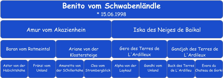 Benito vom Schwabenländle * 15.06.1998 Amur vom Akazienhein Iska des Neiges de Baikal    Baran vom Rotmeintal Ariane von der  Klostersteige Gero des Terres de L'Ardilleux    Gandjah des Terres de L'Ardileux    Astor von der Habichtshöhe Fränzi vom Unland Amaretto von der SChillerhöhe Cleo vom Strombergblick Alpha von der Laykaul    Buck des Terres de L'Ardilleu   Gandhi vom Unland     Evora du Chateau de Gorki