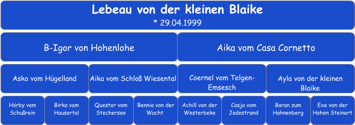 Lebeau von der kleinen Blaike * 29.04.1999 B-Igor von Hohenlohe Aika vom Casa Cornetto    Asko vom Hügelland Aika vom Schloß Wiesental	 Coernel vom Telgen-Emsesch    Ayla von der kleinen  Blaike    Hörby vom Schußrein Birka vom Hausertal Questor vom Stechersee Bennia von der Wacht	 Achill von der Westerbeke    Baran zum Hahnenberg   Casja vom Jadestrand     Exe von der Hohen Steinert