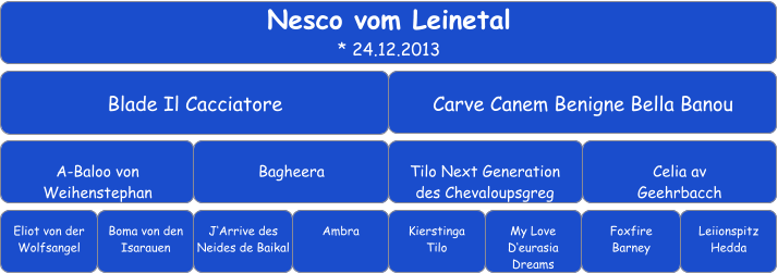 Nesco vom Leinetal * 24.12.2013 Blade Il Cacciatore Carve Canem Benigne Bella Banou A-Baloo von Weihenstephan Bagheera Tilo Next Generation des Chevaloupsgreg Celia av Geehrbacch Eliot von der Wolfsangel Boma von den Isarauen J‘Arrive des Neides de Baikal Ambra Kierstinga Tilo Foxfire Barney My Love D‘eurasia Dreams Leiionspitz Hedda