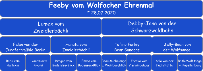 Feeby vom Wolfacher Ehrenmal * 28.07.2020 Lumex vom Zweidlerbächli Debby-Jane von der  Schwarzwaldbahn Felan von der Jungfernmühle Berlin Hanuta vom Zweidlerbächli Tofino Farley Bear Sundogs Jelly-Bean von der Wolfsangel Babu vom Harlekin Tvaerskov‘s Kiyomi Dragon vom Bodensee-Blick Emma vom Bodensee-Blick Beau-Michelange v. Weinbergblick Arlo von der Fuchshütte Freska vom Vierwindehaus Bash-Wolfsangel v. Kapellenberg