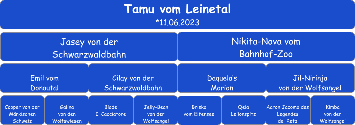 Tamu vom Leinetal *11.06.2023 Jasey von der  Schwarzwaldbahn Nikita-Nova vom Bahnhof-Zoo Emil vom  Donautal Cilay von der Schwarzwaldbahn Daquela‘s Morion Jil-Nirinja von der Wolfsangel Cooper von der  Märkischen Schweiz Galina  von den Wolfswiesen Blade  Il Cacciatore Jelly-Bean von der  Wolfsangel Brisko  vom Elfensee Aaron Jacomo des Legendes  de  Retz Qela Leiionspitz Kimba  von der  Wolfsangel