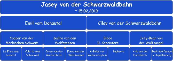 Jasey von der Schwarzwaldbahn * 15.02.2019 Emil vom Donautal Cilay von der Schwarzwaldbahn Cooper von der  Märkischen Schweiz Galina von den  Wolfswiesen Blade  IL Cacciatore Jelly-Bean von  der Wolfsangel Le Filou vom Leinetal Coletta vom  Silberwald Corey von der Mainschleife Fanou von den  Wolfswiesen A-Baloo von Weihenstephan Arlo von der Fuchshütte Bagheera Bash-Wolfsangel v. Kapellenberg