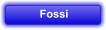 Fossi