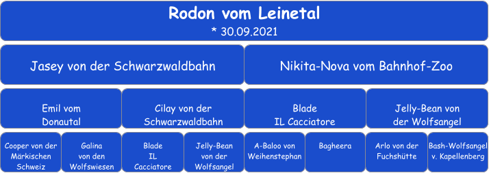 Rodon vom Leinetal * 30.09.2021  Jasey von der Schwarzwaldbahn Nikita-Nova vom Bahnhof-Zoo Emil vom  Donautal Cilay von der Schwarzwaldbahn Blade  IL Cacciatore Jelly-Bean von  der Wolfsangel Cooper von der  Märkischen Schweiz Galina  von den  Wolfswiesen Blade  IL  Cacciatore Jelly-Bean  von der  Wolfsangel A-Baloo von Weihenstephan Arlo von der Fuchshütte Bagheera Bash-Wolfsangel v. Kapellenberg