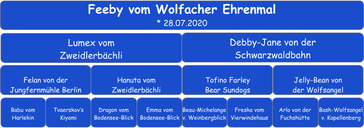 Feeby vom Wolfacher Ehrenmal * 28.07.2020 Lumex vom Zweidlerbächli Debby-Jane von der  Schwarzwaldbahn Felan von der Jungfernmühle Berlin Hanuta vom Zweidlerbächli Tofino Farley Bear Sundogs Jelly-Bean von der Wolfsangel Babu vom Harlekin Tvaerskov‘s Kiyomi Dragon vom Bodensee-Blick Emma vom Bodensee-Blick Beau-Michelange v. Weinbergblick Arlo von der Fuchshütte Freska vom Vierwindehaus Bash-Wolfsangel v. Kapellenberg