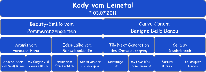 Kody vom Leinetal * 03.07.2011 Beauty-Emilio vom Pommeranzengarten Carve Canem Benigne Bella Banou Aramis vom Eurasier-Echo Eden-Laika vom Schwabenländle Tilo Next Generation des Chevaloupsgreg Celia av Geehrbacch Apacho-Acer vom Wolfsmeer My Ginger v. d. kleinen Blaike Assur vom Ötscherblick Minka von der Pferdekoppel Kierstinga Tilo Foxfire Barney My Love D’eu-rasia Dreams Leiionspitz Hedda