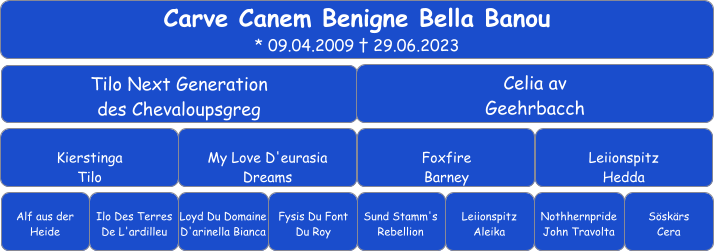 Carve Canem Benigne Bella Banou * 09.04.2009 † 29.06.2023  Tilo Next Generation  des Chevaloupsgreg Celia av  Geehrbacch Kierstinga  Tilo  My Love D'eurasia  Dreams Foxfire  Barney Leiionspitz  Hedda Alf aus der Heide Ilo Des Terres De L'ardilleu Loyd Du Domaine D'arinella Bianca Fysis Du Font  Du Roy Sund Stamm's Rebellion Nothhernpride John Travolta Leiionspitz Aleika Söskärs  Cera